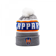 Tappara beanie retro grey